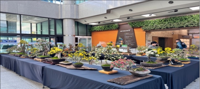 금정구, '야생화 및 국화 분재 전시회' 개최